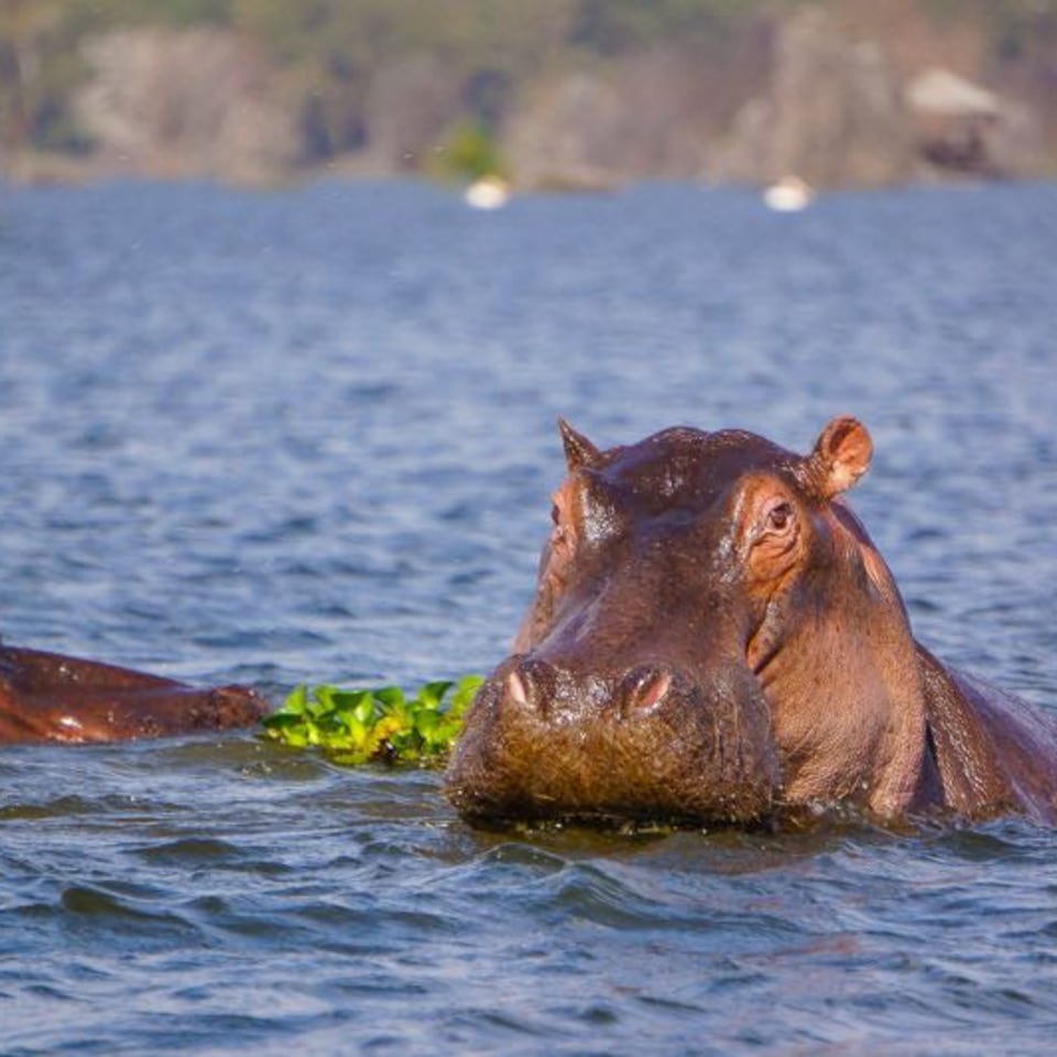 Kleingruppenreise vom Krüger-Nationalpark bis nach Kapstadt
